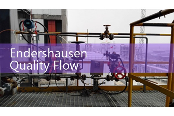 Endershausen mass flowmeter